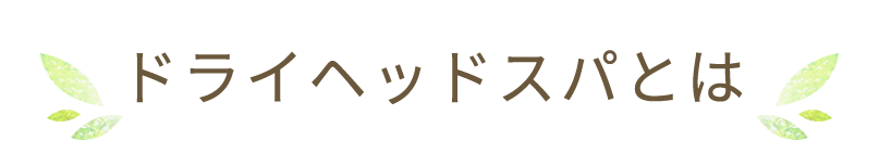 ドライヘッドスパとは